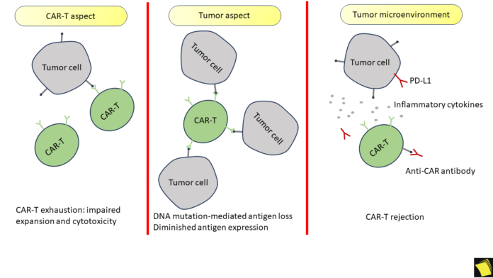 Mechanisms-of-Resistance-to-CAR-T-Cell-Therapy