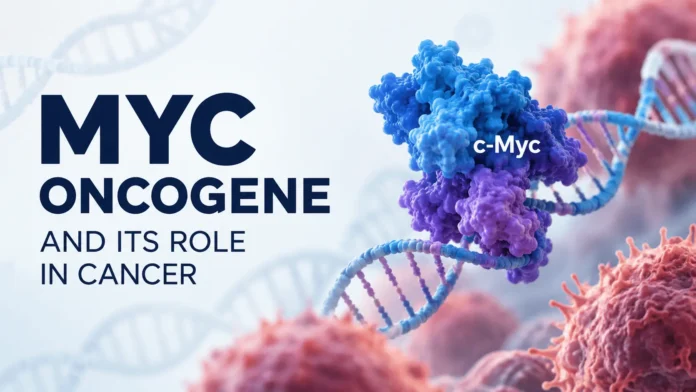 Illustration of the MYC oncogene and c-Myc protein interacting with DNA, surrounded by cancer cells, representing the role of MYC in cancer development and progression.