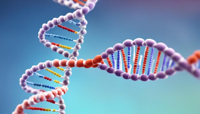 A Single Nucleotide Deletion During DNA Replication