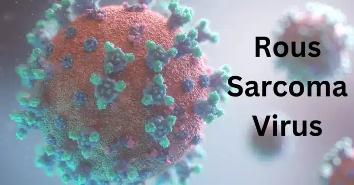 Rous sarcoma virus and cancer