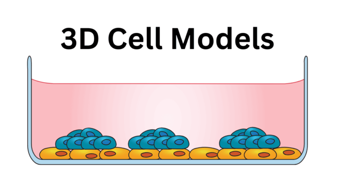 3d cell model