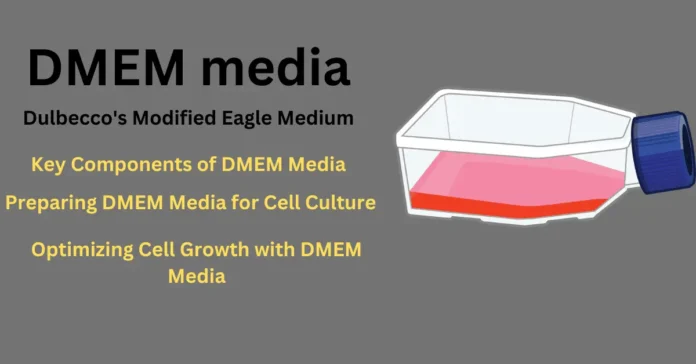 DMEM media