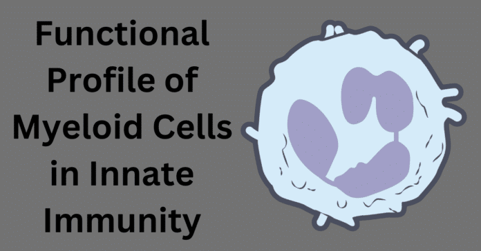 Functional Profile of Myeloid Cells in Innate Immunity