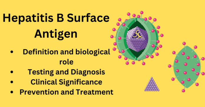 Hepatitis B Surface Antigen