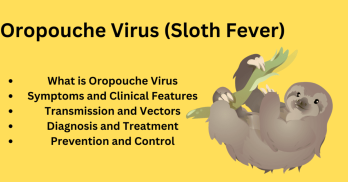 Oropouche Virus (Sloth Fever)