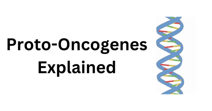 Proto-Oncogenes