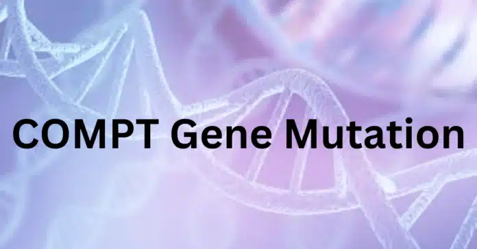 comt gene mutation