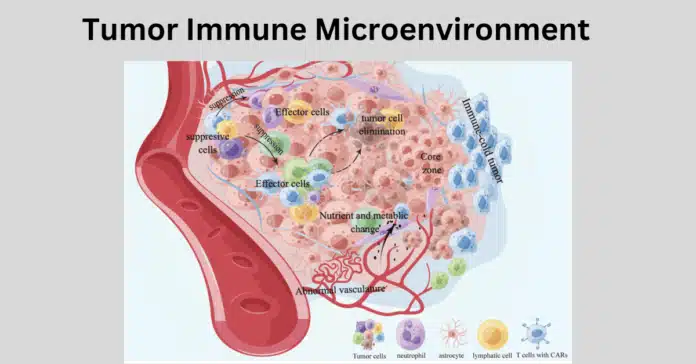 tumor immune microenvironment