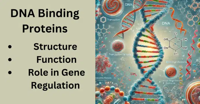 DNA Binding Proteins