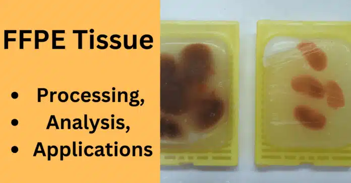 FFPE Tissue Processing, Analysis, and Applications in Modern Research