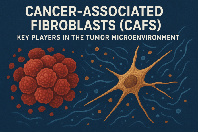 Cancer-Associated Fibroblasts