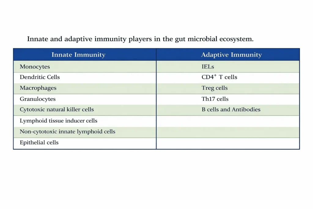 Innate and adaptive immunity players in the gut microbial ecosystem