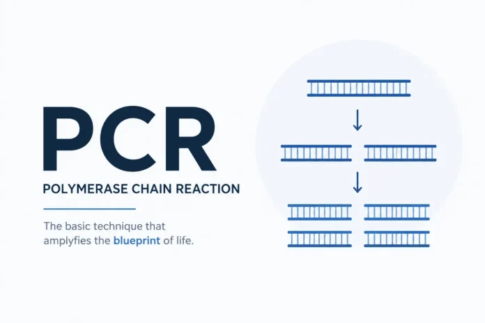 Minimalist illustration of polymerase chain reaction (PCR), showing one DNA double strand being amplified into two and then multiple identical DNA double strands, alongside the title “PCR – Polymerase Chain Reaction” and the phrase “The basic technique that amplifies the blueprint of life.