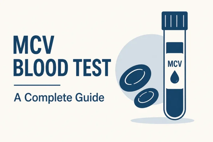 Minimalist MCV blood test illustration with test tube and red blood cells in blue tones