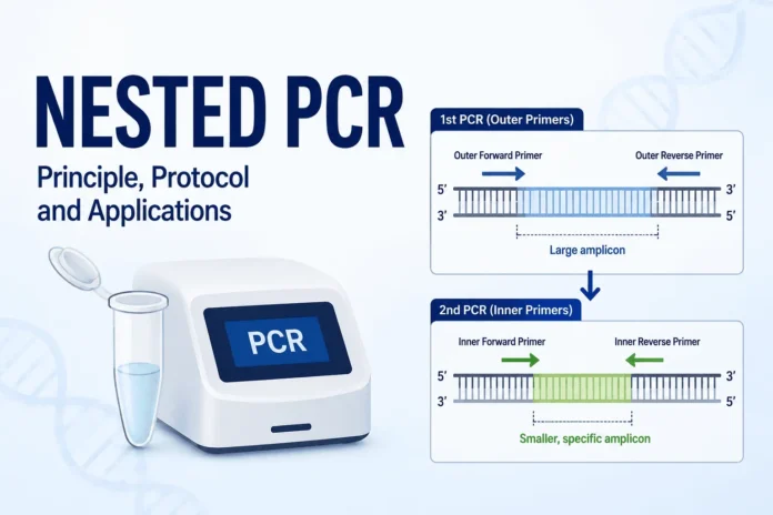 Diagram illustrating the two-step Nested PCR process using outer and inner primers to amplify a specific DNA target