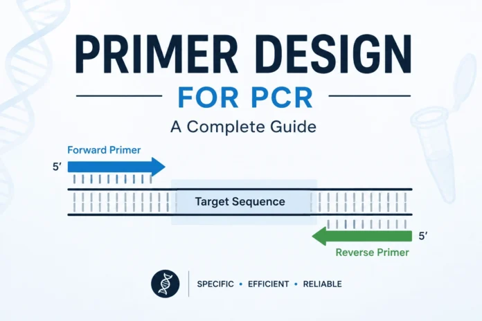 PCR primer design diagram showing forward and reverse primers positioned within the target DNA sequence, with the amplified region (amplicon) between the primer-binding sites.