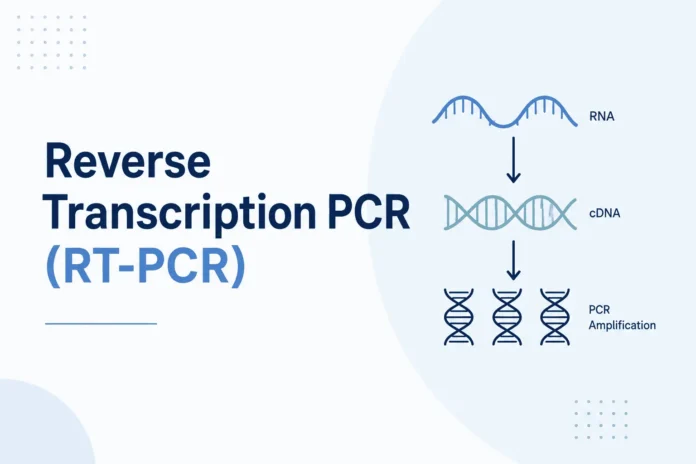 Minimalist infographic illustrating the Reverse Transcription PCR (RT-PCR) workflow, showing RNA conversion into complementary DNA (cDNA) followed by PCR amplification, with the title 