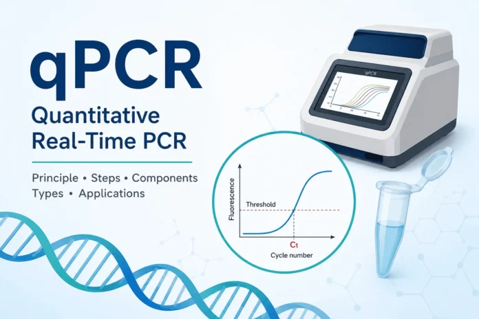 qPCR amplification showing PCR cycles, fluorescence detection, amplification curve, and Ct value