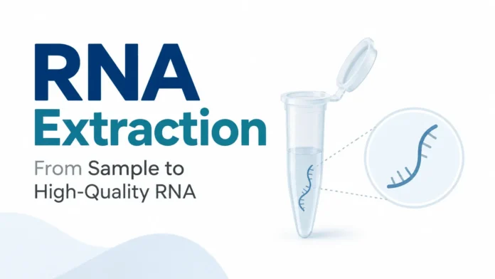 RNA extraction concept showing a microcentrifuge tube containing an RNA strand, with a magnified RNA illustration and the title “RNA Extraction: From Sample to High-Quality RNA.”